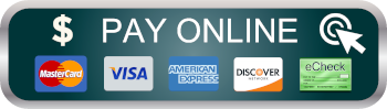 Pay Now Button